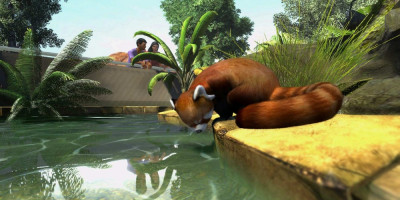 Zoo Tycoon on Windows 7: Graphics, Sound, and Compatibility
